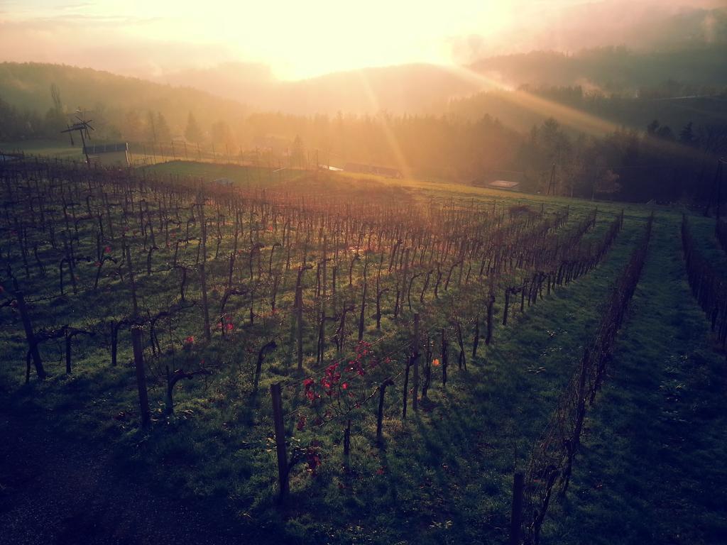 Weingut Reiterer Hotell Kitzeck im Sausal Eksteriør bilde