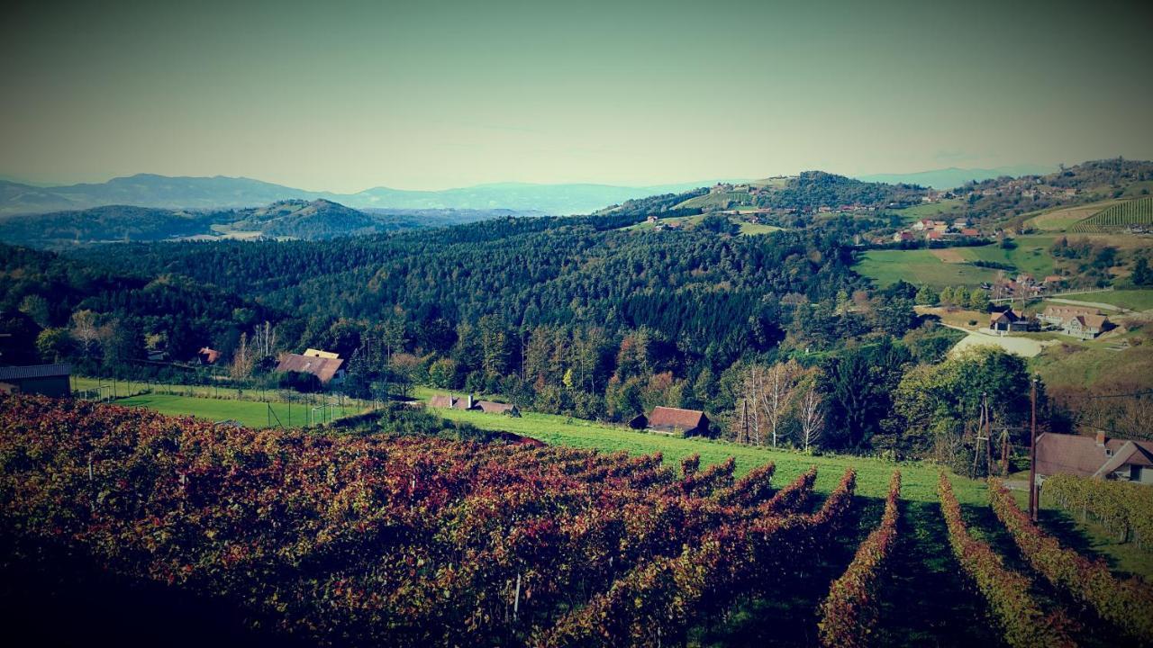 Weingut Reiterer Hotell Kitzeck im Sausal Eksteriør bilde